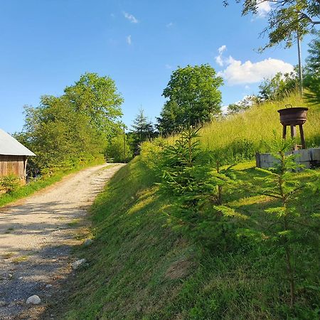 Cabana Valea Lui Mas Robaia Exteriér fotografie