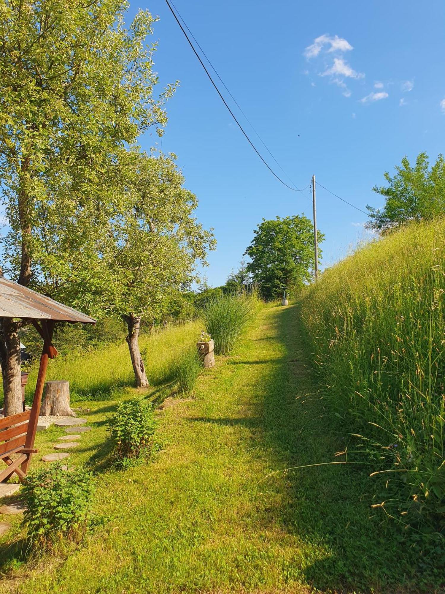 Cabana Valea Lui Mas Robaia Exteriér fotografie