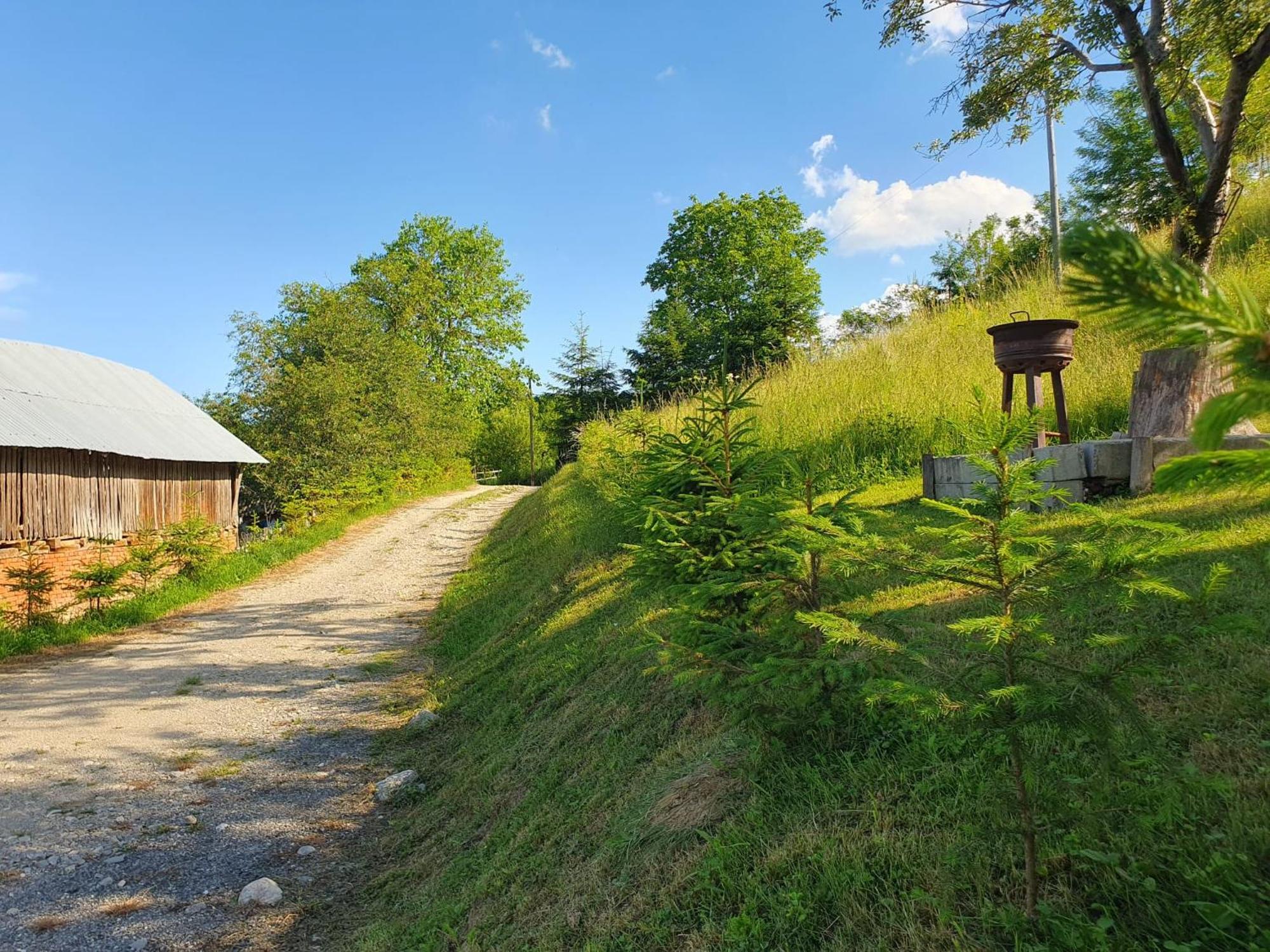 Cabana Valea Lui Mas Robaia Exteriér fotografie
