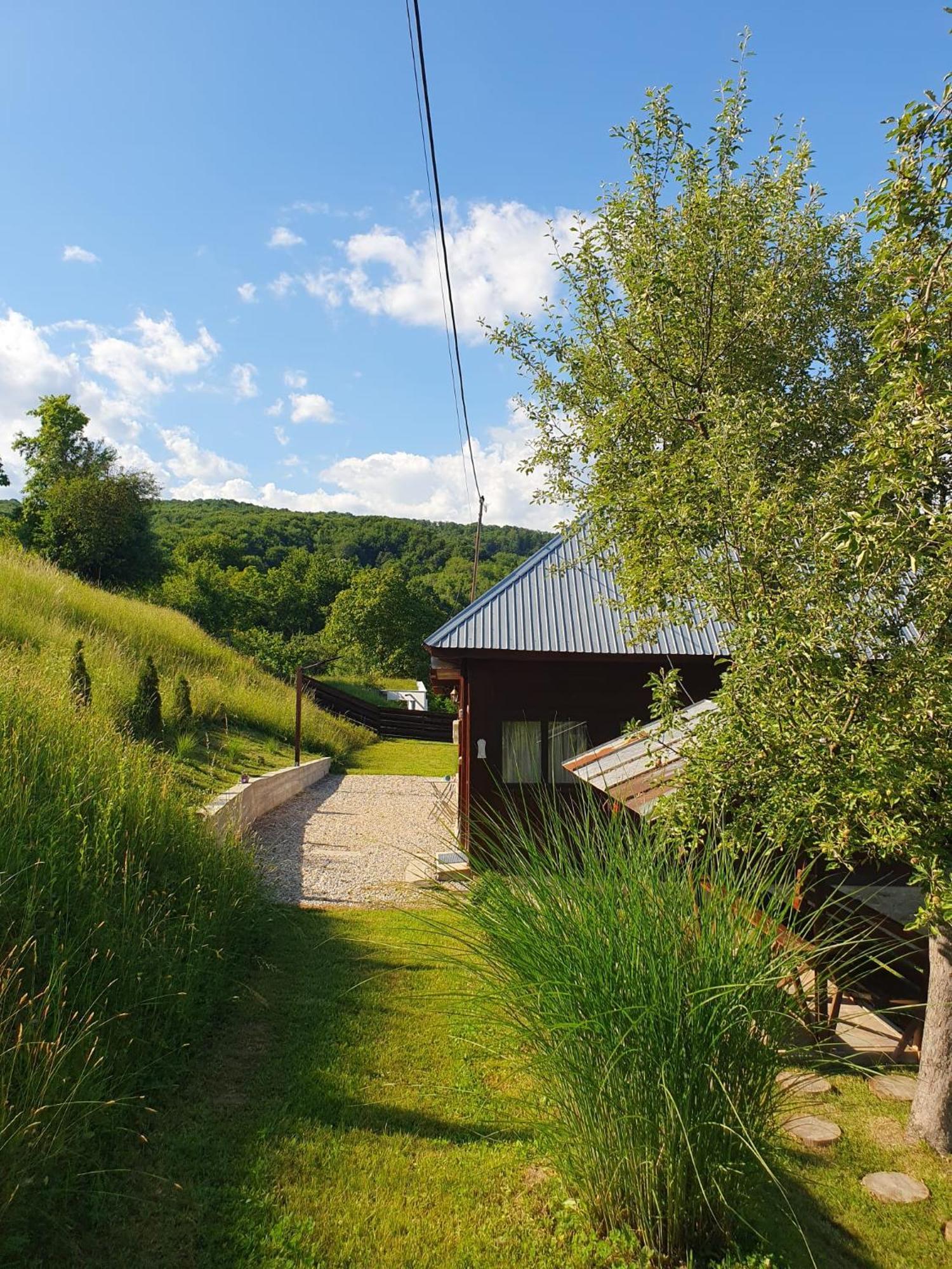 Cabana Valea Lui Mas Robaia Exteriér fotografie