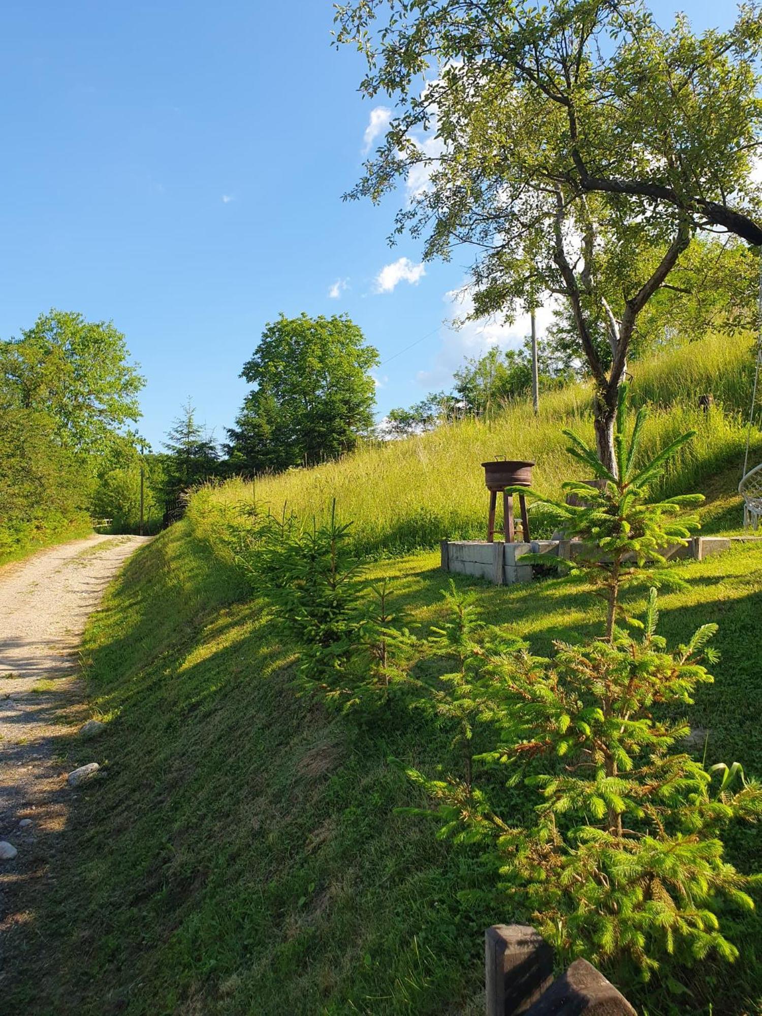 Cabana Valea Lui Mas Robaia Exteriér fotografie