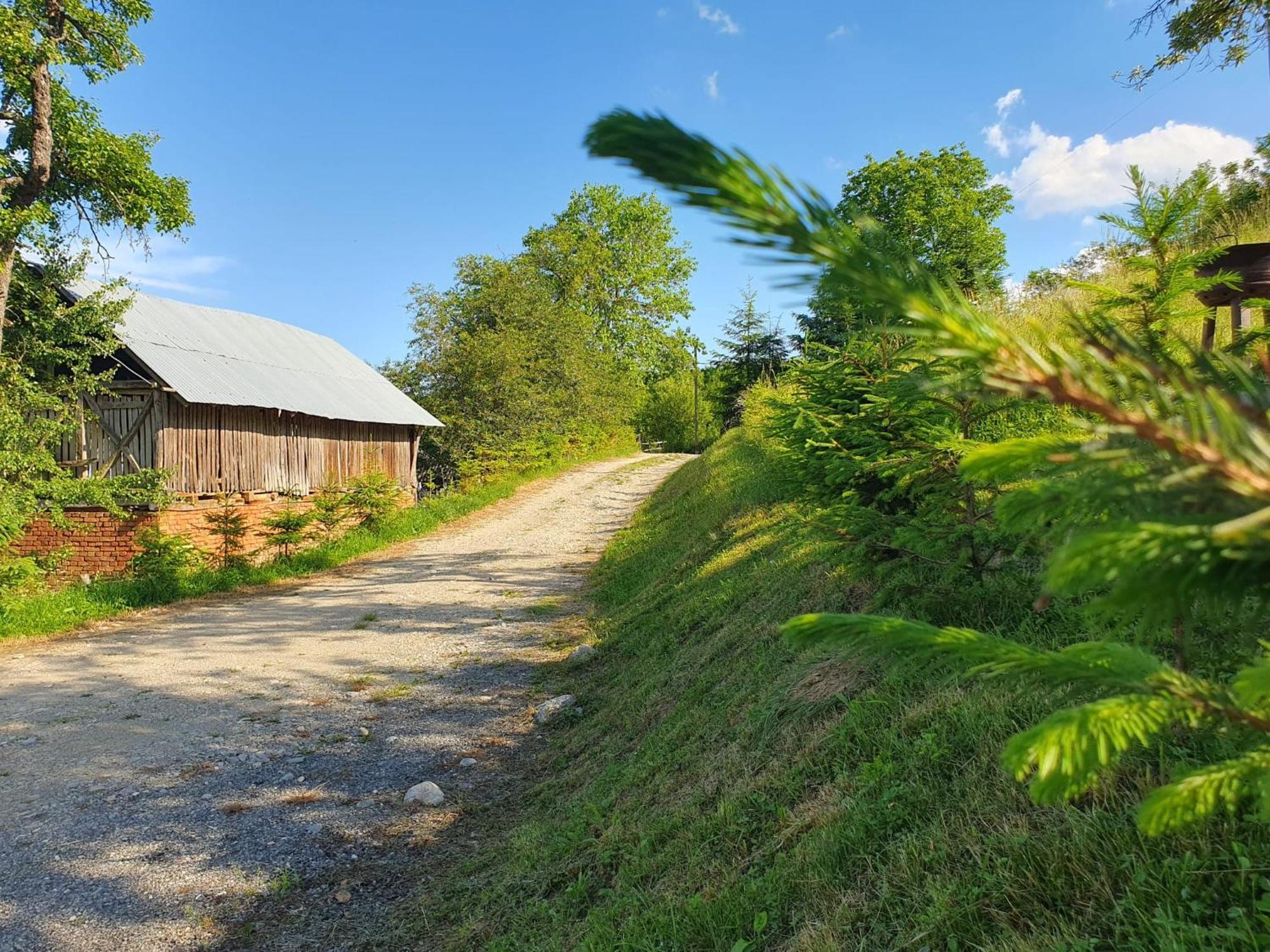 Cabana Valea Lui Mas Robaia Exteriér fotografie