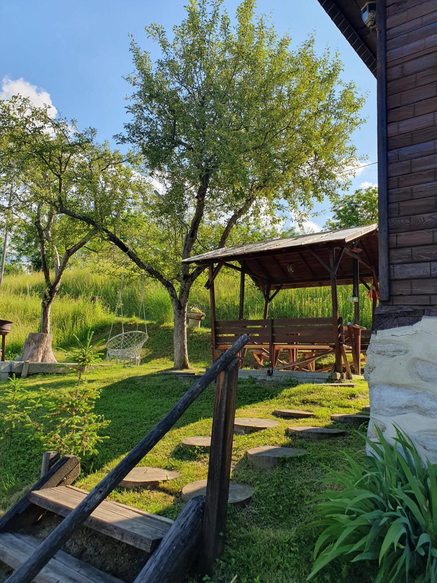 Cabana Valea Lui Mas Robaia Exteriér fotografie