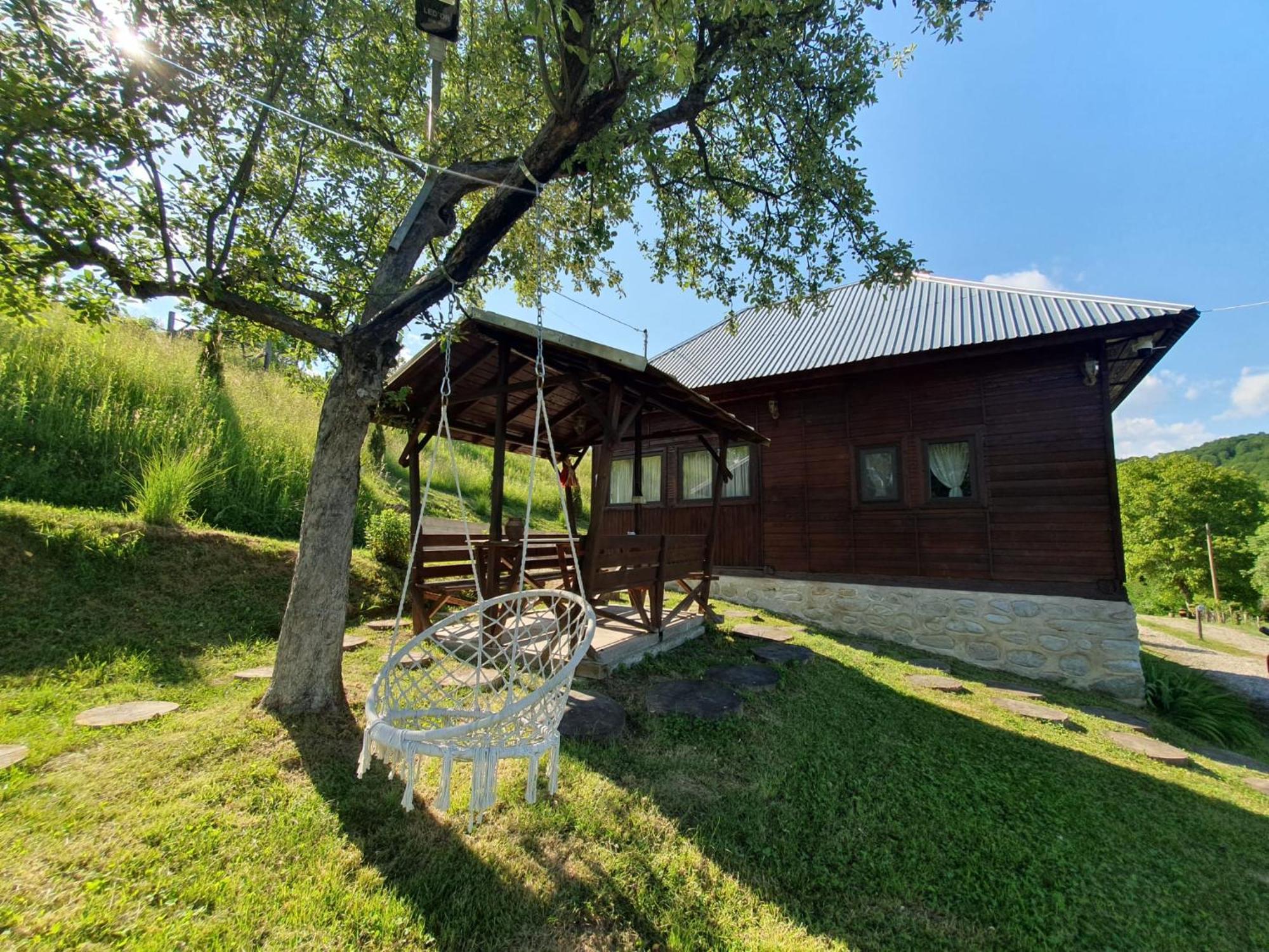 Cabana Valea Lui Mas Robaia Exteriér fotografie