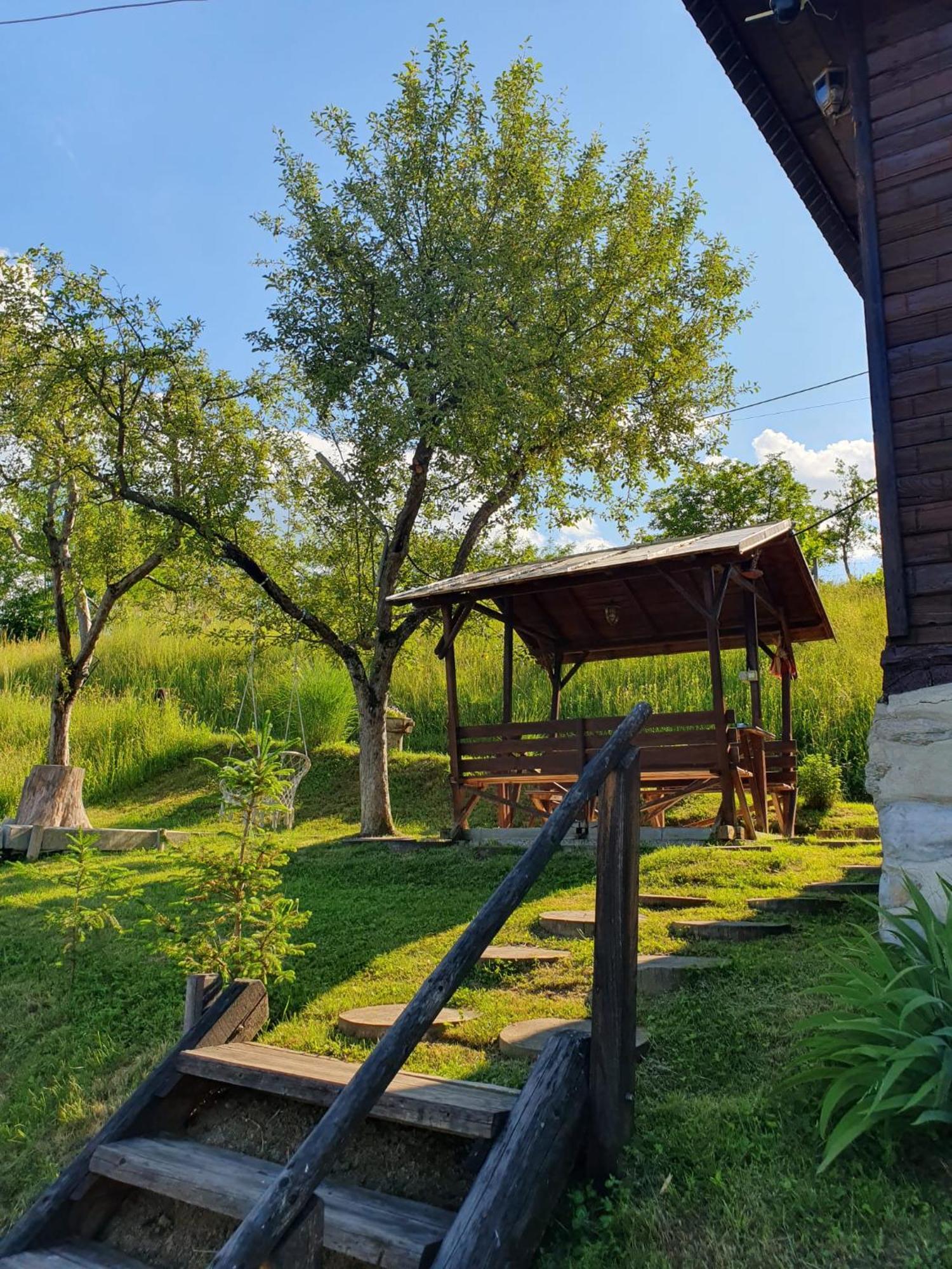 Cabana Valea Lui Mas Robaia Exteriér fotografie