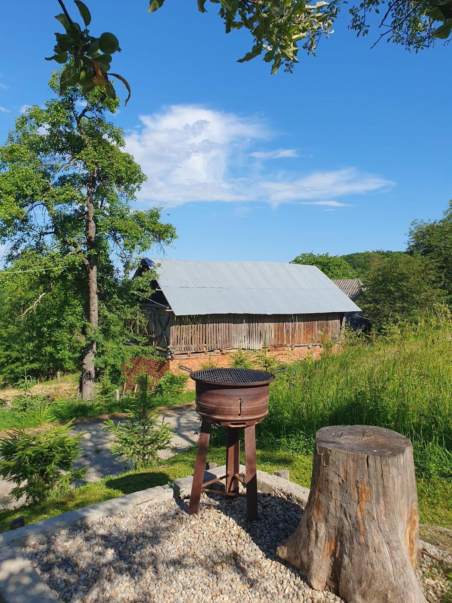 Cabana Valea Lui Mas Robaia Exteriér fotografie