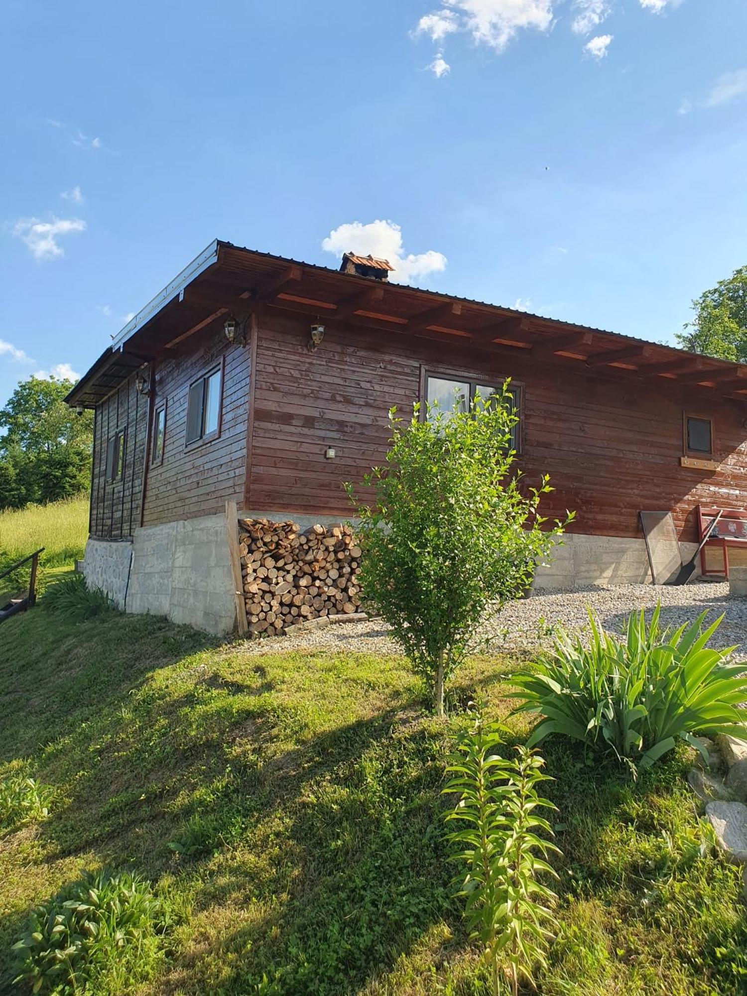 Cabana Valea Lui Mas Robaia Exteriér fotografie