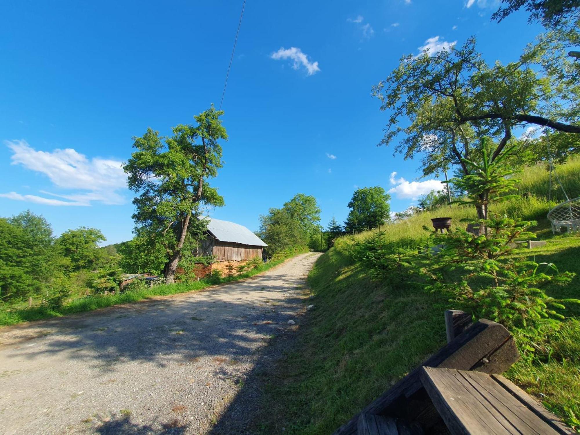 Cabana Valea Lui Mas Robaia Exteriér fotografie